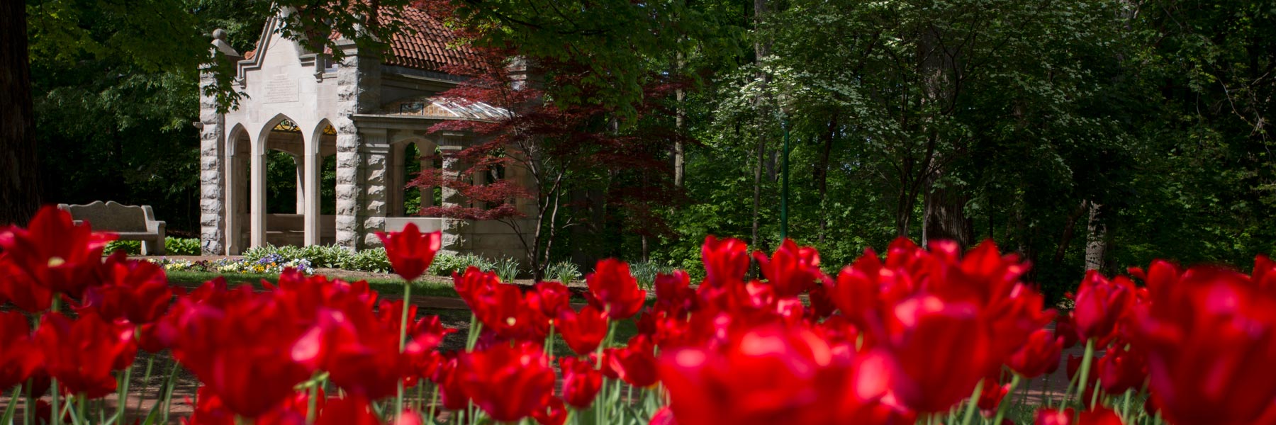 A field of red tulips in front of the Rose Well House on the IU Bloomington campus
